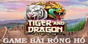 gioi-thieu-tong-quan-ve-rong-ho-sunwin