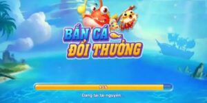 tong-quan-doi-net-ve-ban-ca-doi-thuong