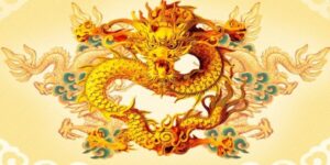 y-nghia-cua-mo-thay-con-rong-theo-tam-linh
